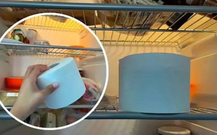 Put a Roll of Toilet Paper in Your Refrigerator: The Surprisingly Smart Trick That Actually Works