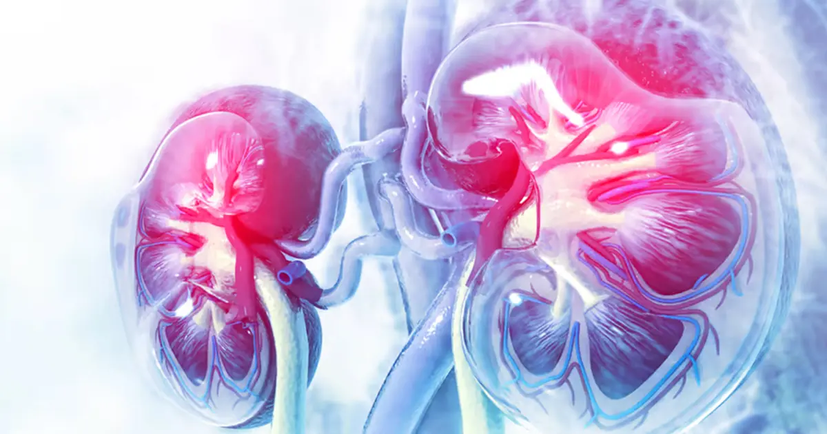Many People Miss These 8 Early Signs of Kidney Disease—Do You Have Any of Them?