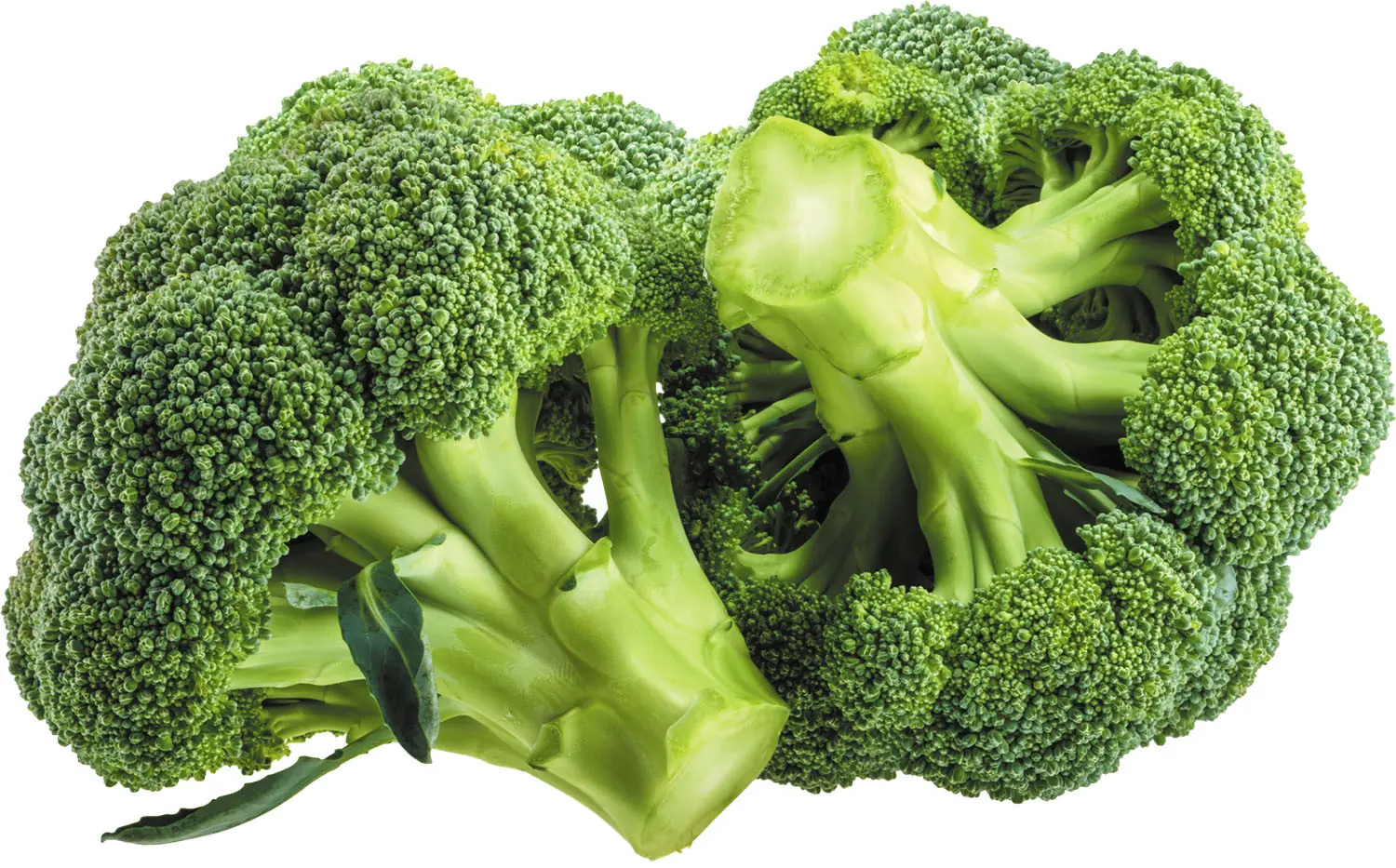 Doctors Reveal What Can Happen to Your Body When You Eat Broccoli Regularly