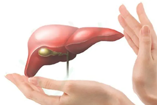 Silent Everyday Habits That May Be Putting Extra Stress on Your Liver