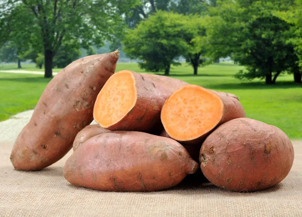 Sweet Potatoes May Be Healthier Than You Think—7 Benefits Explained