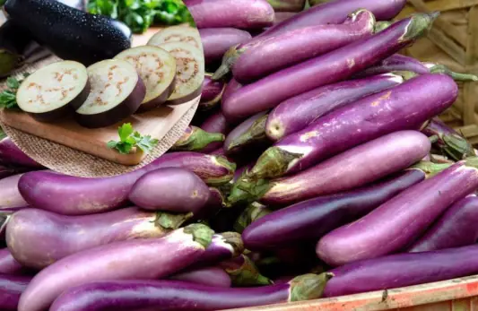 Eggplant Is Often Called the “King of Vegetables,” but It May Not Be Suitable for Everyone