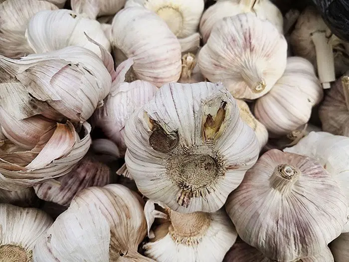 The Secret to Choosing Better Garlic: What to Look For and What to Avoid