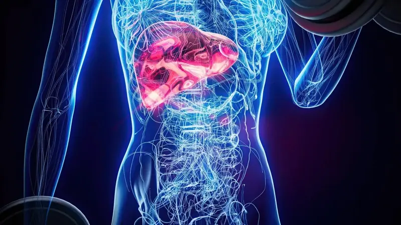 Too Much of This Popular Drink Could Be Harming Your Liver Without You Realizing It