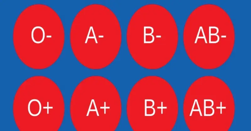Which Bl00d Type May Be Associated With the Lowest Can.cer Risk? What Research Suggests