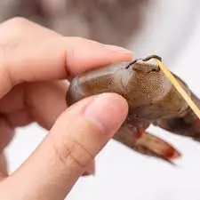 Most People Think It's a Vein—The Truth About Shrimp May Shock You!