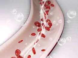 6 Simple Ways to Keep Your Arteries Strong and Your Blood Flowing Smoothly