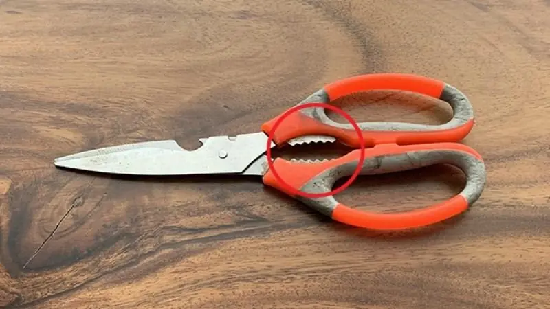 That Strange Toothy Thing on Your Kitchen Scissors? It's Actually a Genius Hidden Tool