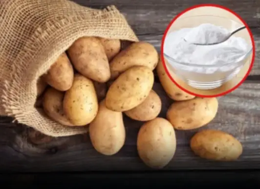 Tips to preserve potatoes from turning green or sprouting