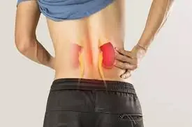 Your Body Often Warns You Before Kidney Disease Advances—Here's How