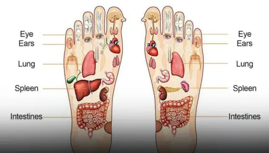 Signs on your feet that your internal organs are warning you that you should go to hospital immediately