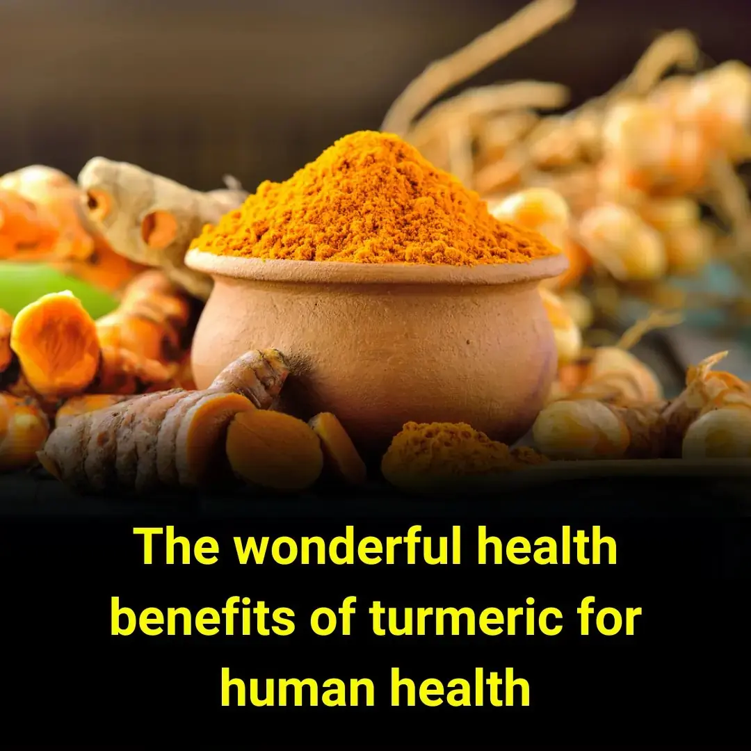 The wonderful health benefits of turmeric for human health