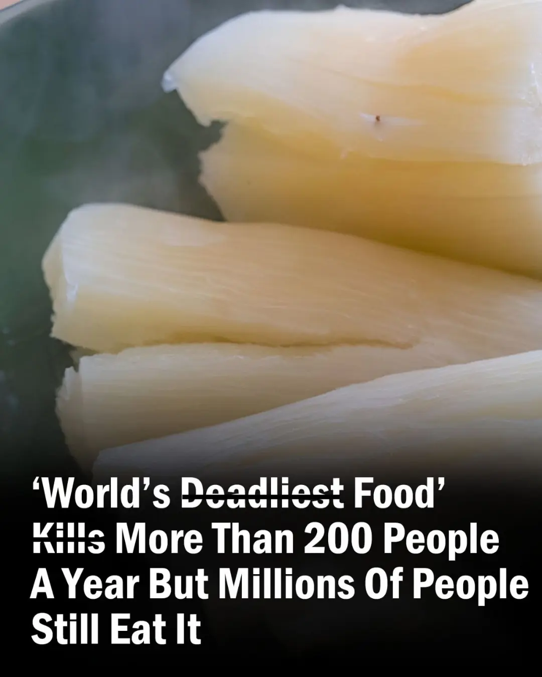 Over 200 People Are Killed By The “World’s Deadliest Food” Every Year, But Almost 500 Million People Still Eat It