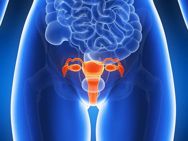 These 3 Everyday Foods May Help Support Ovarian Health and Healthy Aging in Women
