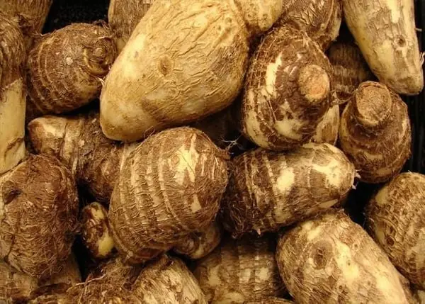 This Ancient Root Vegetable Is Making a Big Comeback and for Good Reason