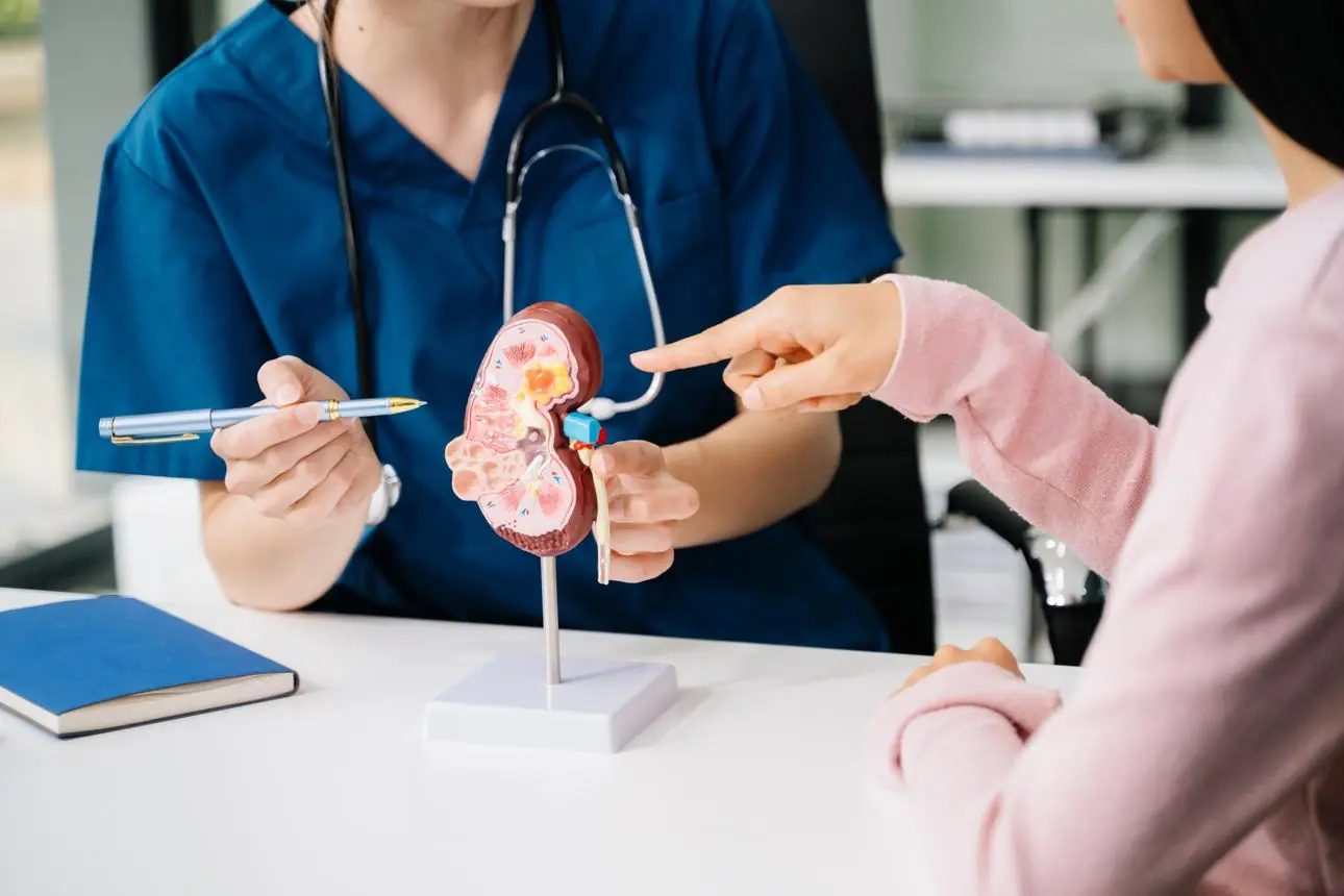 28-Year-Old Woman’s Kidneys Functioned Like an 80-Year-Old’s: Doctors Traced the Cause to a Common Habit
