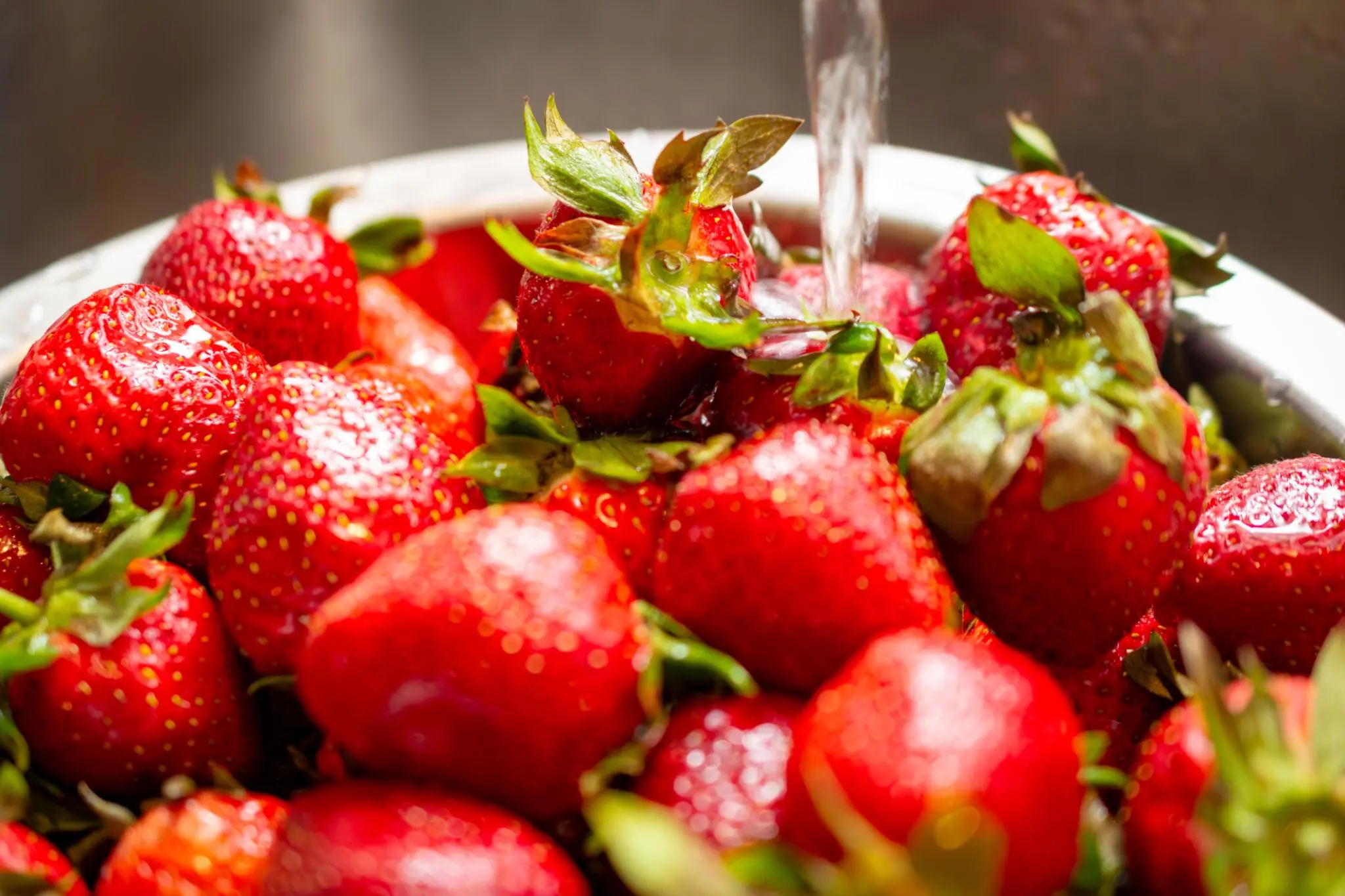 I Soaked My Berries in Salt Water and Saw Tiny White Worms Come Out — Should I Throw Them Away?