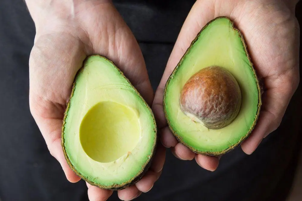 Doctors reveal that eating avocados causes… see more