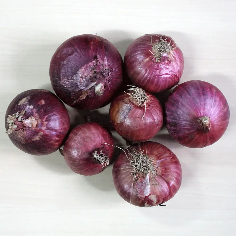 Eating Onions Every Day? Doctors Say the Effects May Surprise You