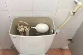 Common Causes of a Weak Toilet Flush and How to Fix Them Yourself