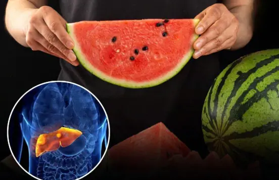 This Popular Summer Fruit Has Drawn Scientific Interest for Its Hydrating Properties and Potential Benefits for Liver Health