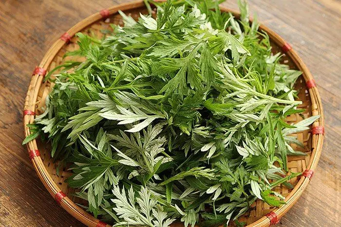 This Common Leafy Green Packs So Many Nutrients That It Has Become a Favorite Among Health Enthusiasts