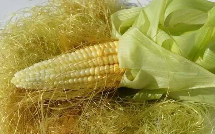 What Is Corn Silk Good For? Here Are 10 Benefits and Practical Uses
