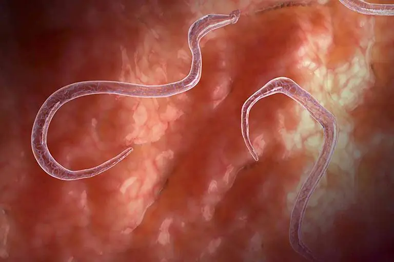 Doctors Reveal the Most Common Reasons Children Itch More at Night