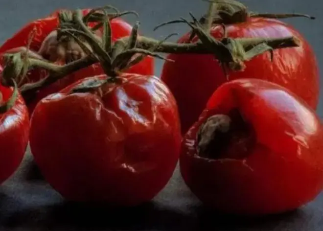 Most People Throw Away Overripe Tomatoes But Here Are the Hidden Uses They Don't Know About