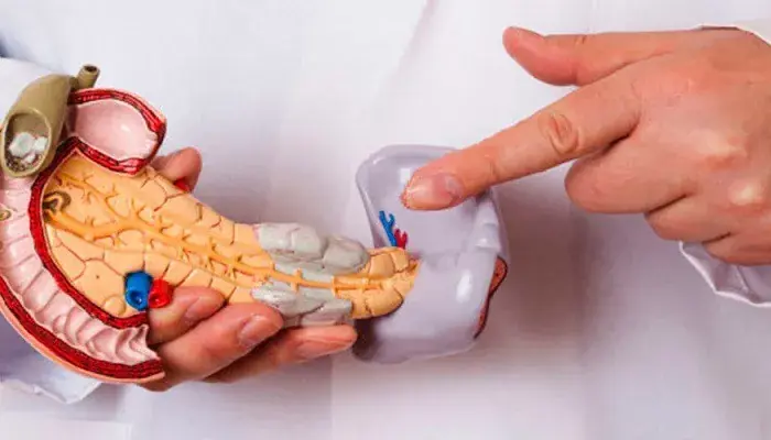 Could It Be Pancreatic Can.cer? Here Are 10 Early Symptoms to Watch For