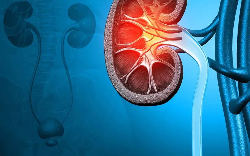 8 Possible Warning Signs of Advanced Kidney Disease That Shouldn't Be Ignored