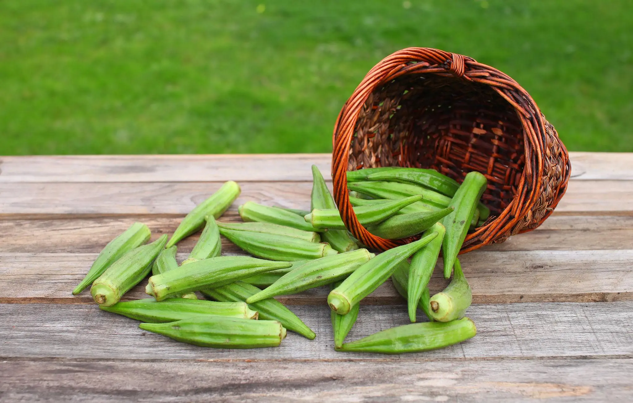 Doctor reveal that eating okra causes...