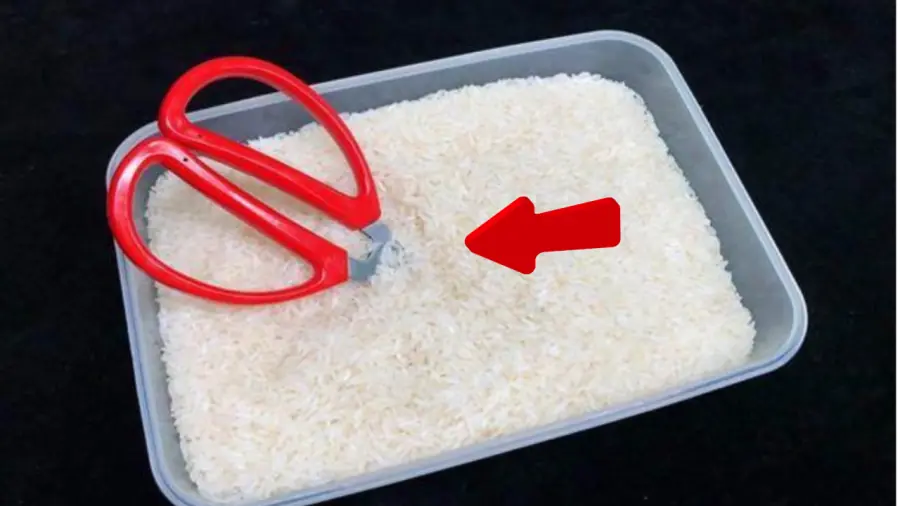 Why Are People Putting Scissors in Rice? The Surprising Benefits Might Surprise You