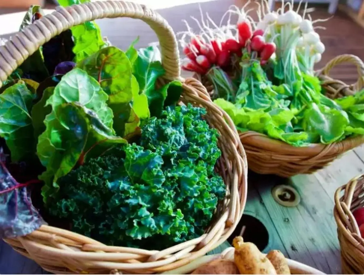 A Popular Vegetable Under Scrutiny: Who Should Be Careful About Eating It Every Day?