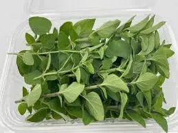 One Small Oregano Leaf a Day Could Have Some Surprising Effects on Your Health