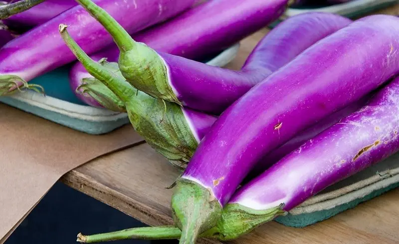 Eggplant Is Highly Nutritious But These 4 Groups of People May Need to Be Cautious