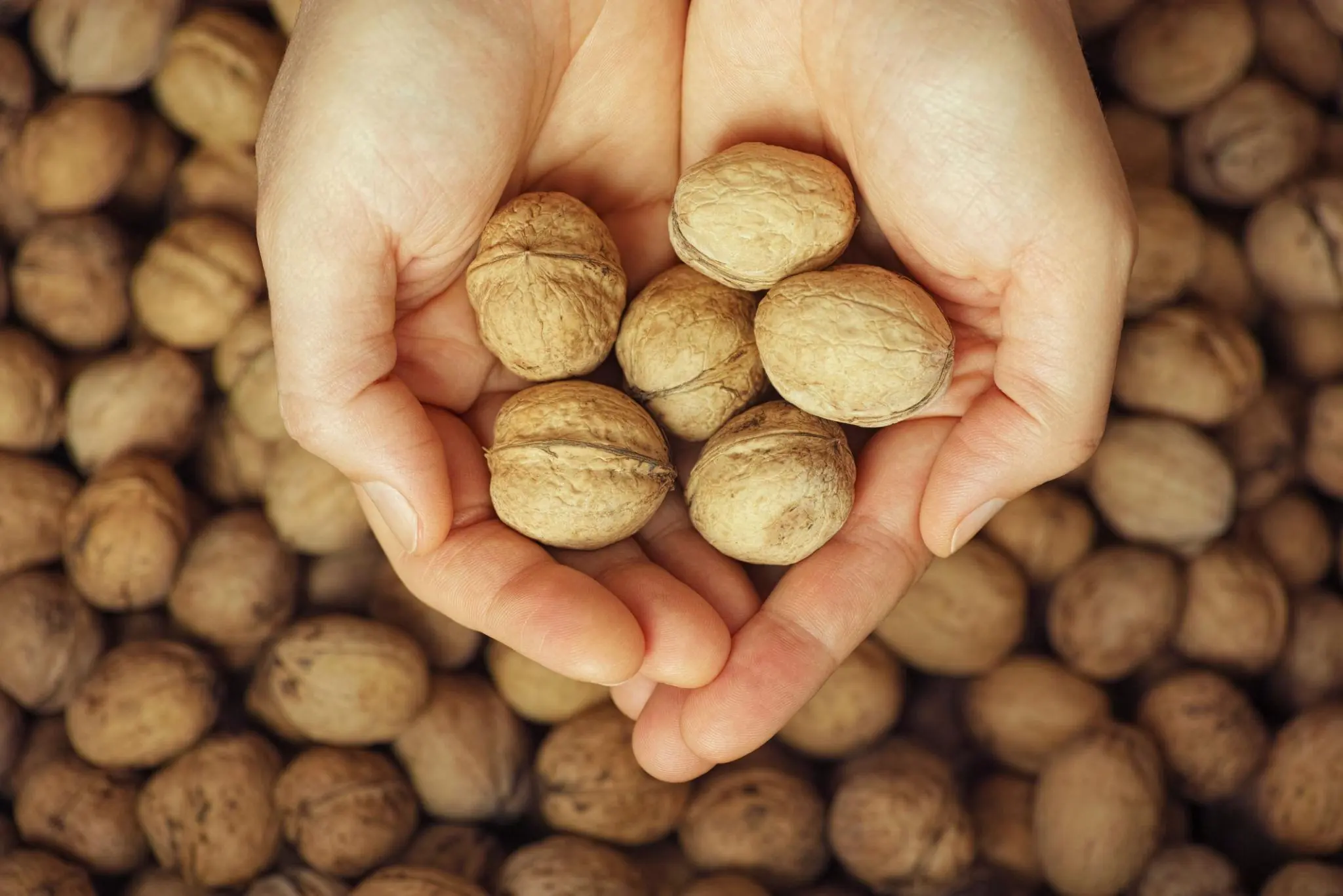 Doctors reveal that eating walnuts causes...See more