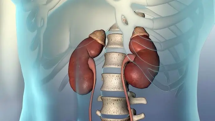 If You Have Any of These 7 Symptoms, Your Kidneys May Need Attention