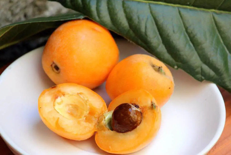 For Years, I've Wondered What This Strange Fruit Is Actually Called... Can You Help?