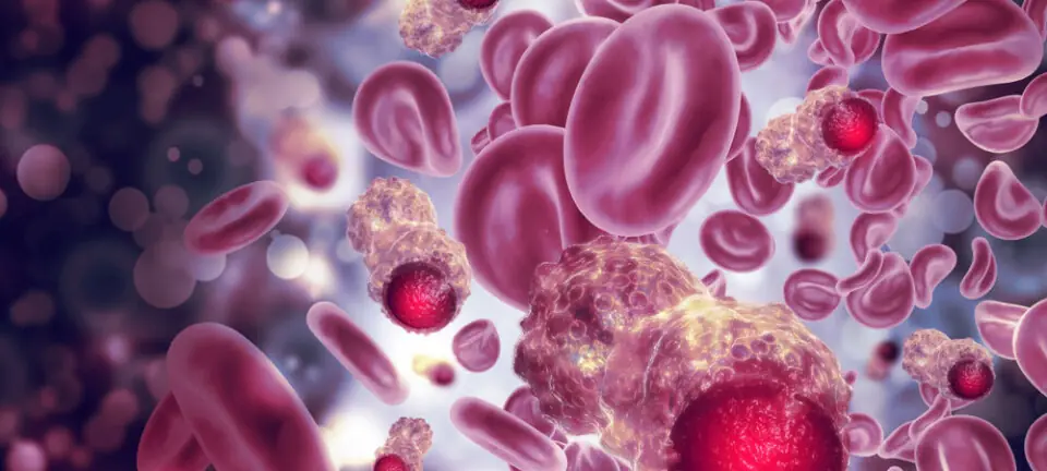 Doctors Identify a Blo.od Type That May Face a Higher Risk of Stomach Can.cer, Study Suggests