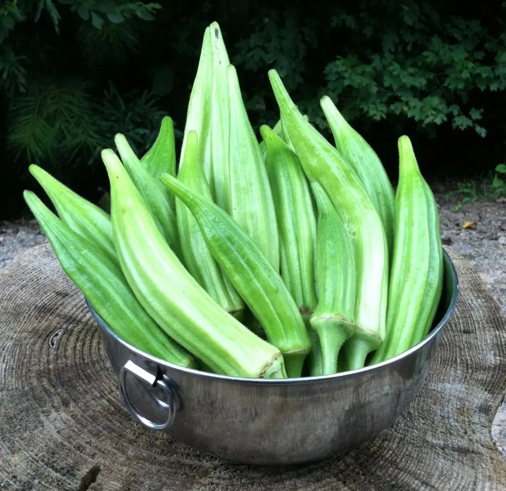 4 Vegetables That Support Long-Term Health and May Help Reduce Cancer Risk