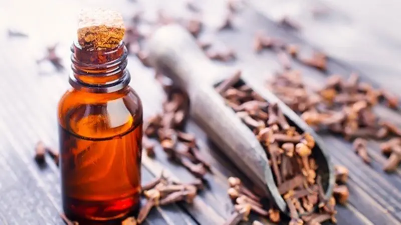 Could Cloves and Baby Oil Be a Useful Combination? Here's What to Know