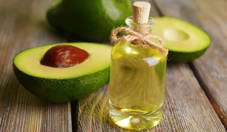 Homemade Avocado Oil: What You Need to Know Before Getting Started