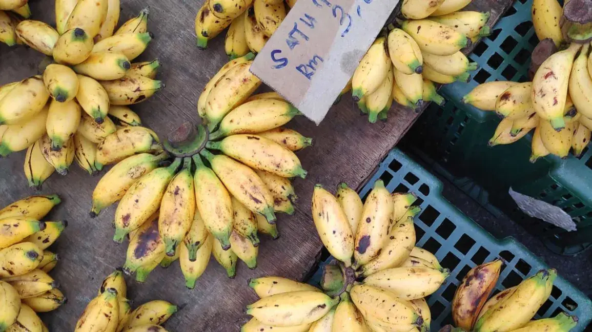 A 59-Year-Old Made One Simple Change to His Nightly Routine: 2–3 Bananas. The Outcome Was Unexpected