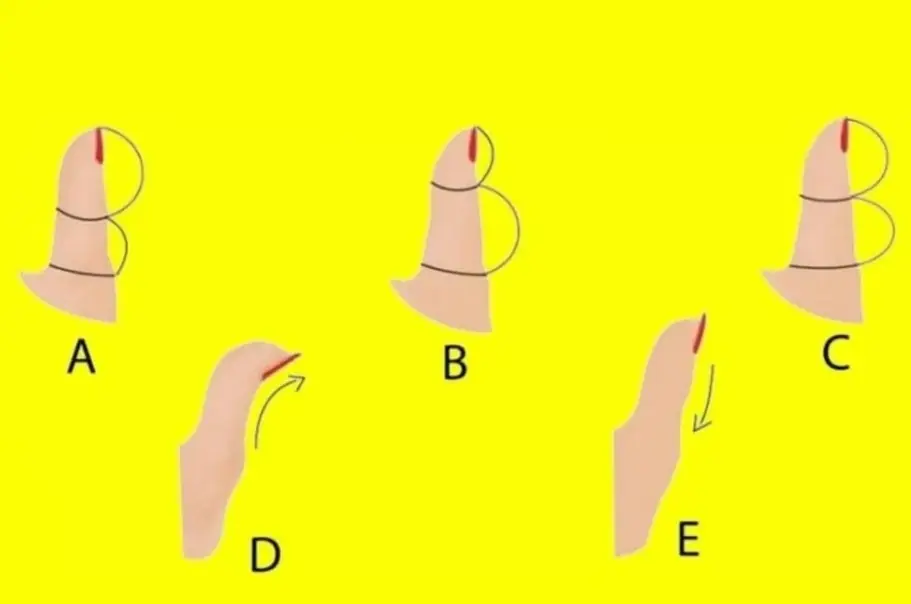 Look at Your Thumb… What Does It Reveal About You? The Surprising Meanings Behind Different Thumb Shapes