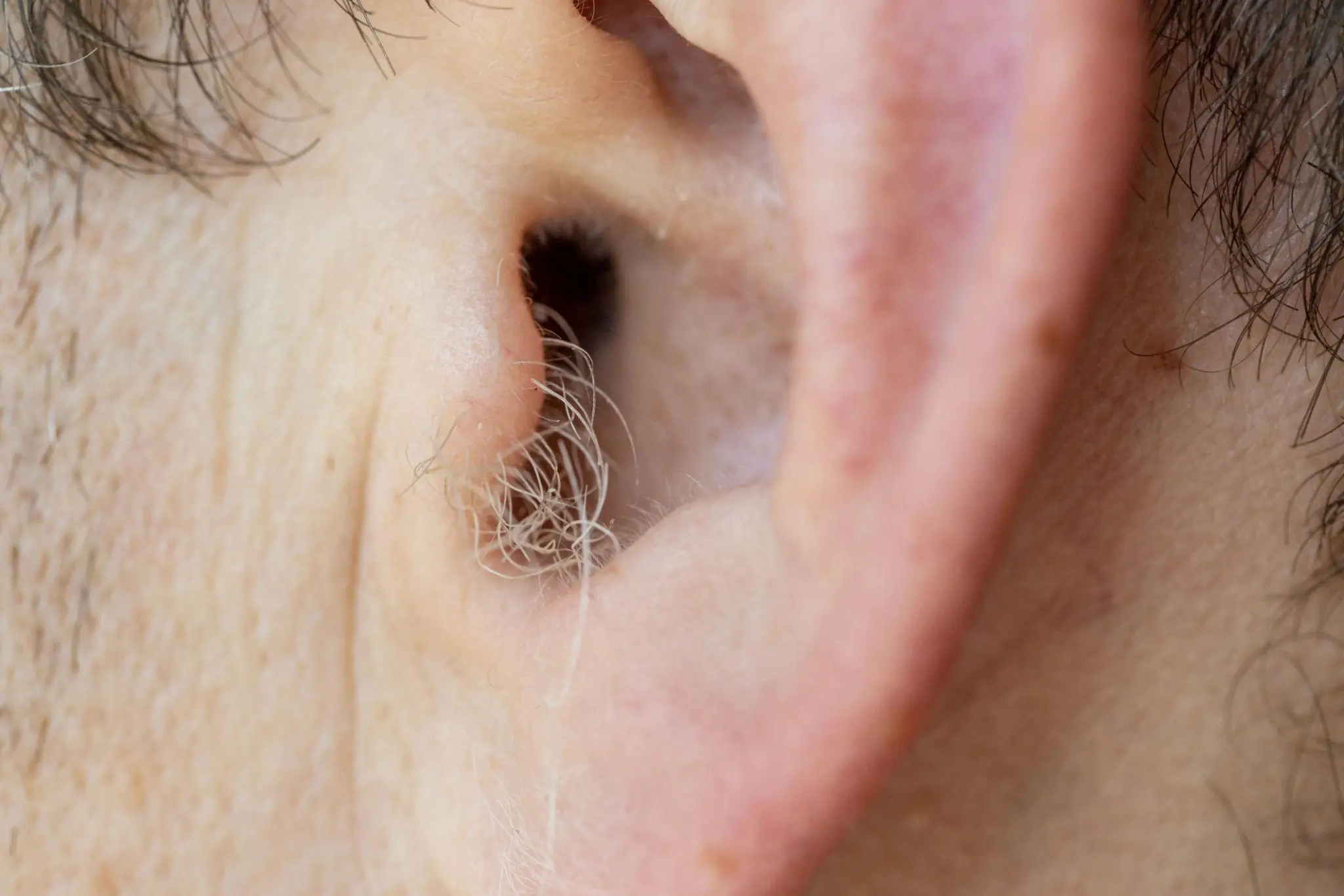 DID YOU KNOW? If hair grows on your ears, it’s because your body is…