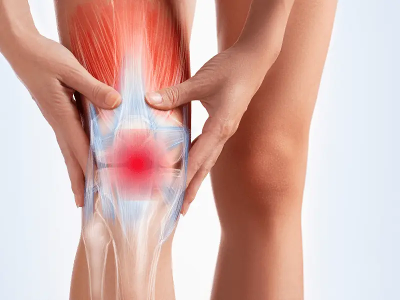 Top 6 Nutrients Commonly Linked to Better Joint Function and Reduced Knee Discomfort