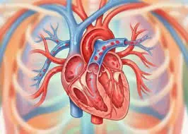 A Heart Attack Doesn't Always Strike Without Warning—These 7 Symptoms May Come First