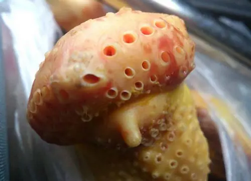 You May Be Surprised Which 4 Chicken Parts Experts Recommend Limiting
