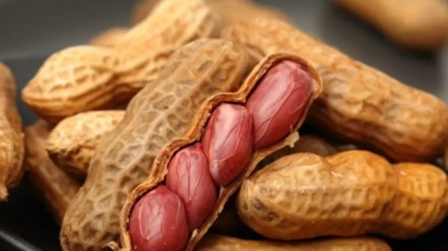 Eating Peanuts Regularly May Affect Your Health in Several Ways - Here's What Experts Have Found